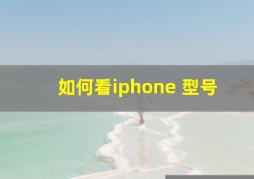 如何看iphone 型号